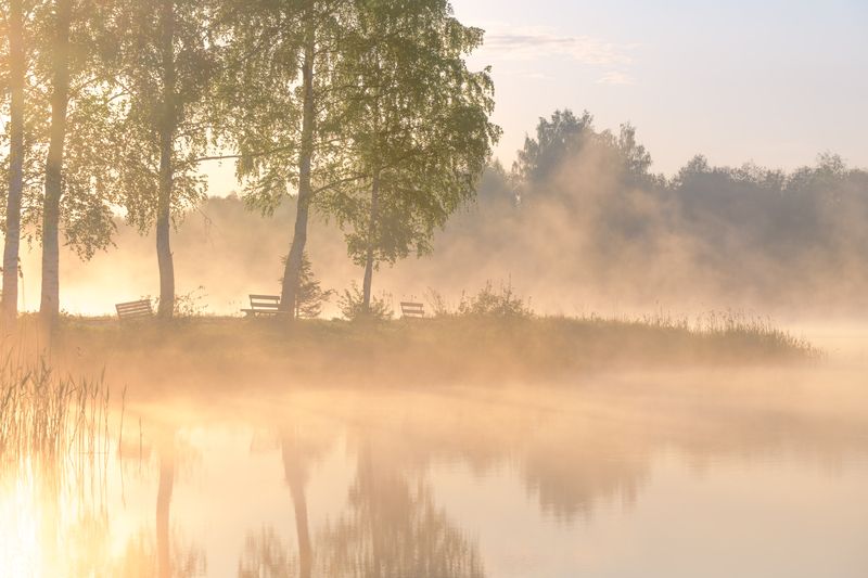 Ферапонтово  Посидим? Подумаем?... photo preview