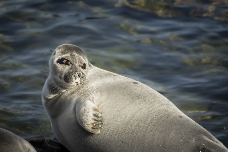 Ничего, что я самая красивая...?)photo preview