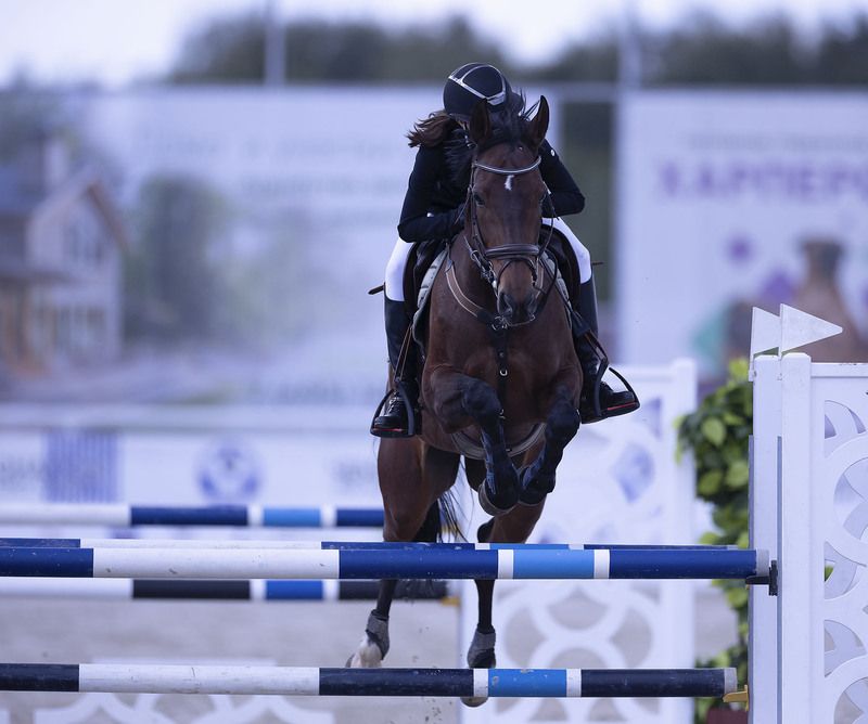 соревнования, конкур, спорт, репортаж, competition, horse, sport, jump Стремительный прыжок фото превью
