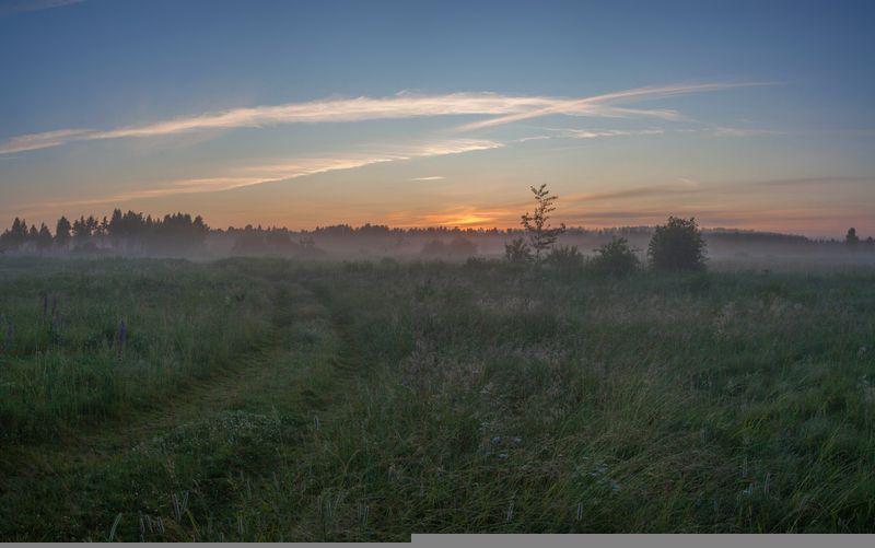 рассвет, лето , поле Рассвет .photo preview
