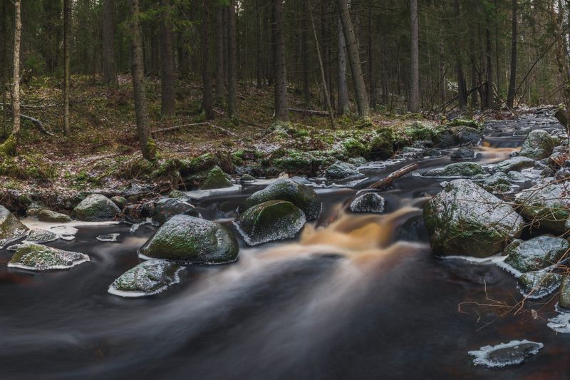 Река, вода, камни, лес, Карелия, осень Карелияphoto preview