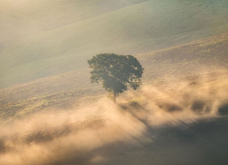 Italy, photography, trip, outdoors, landscape, daytime, fog, sunrise, tuscany Lonely Treephoto preview