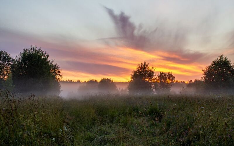 Туман на поле за деревнейphoto preview