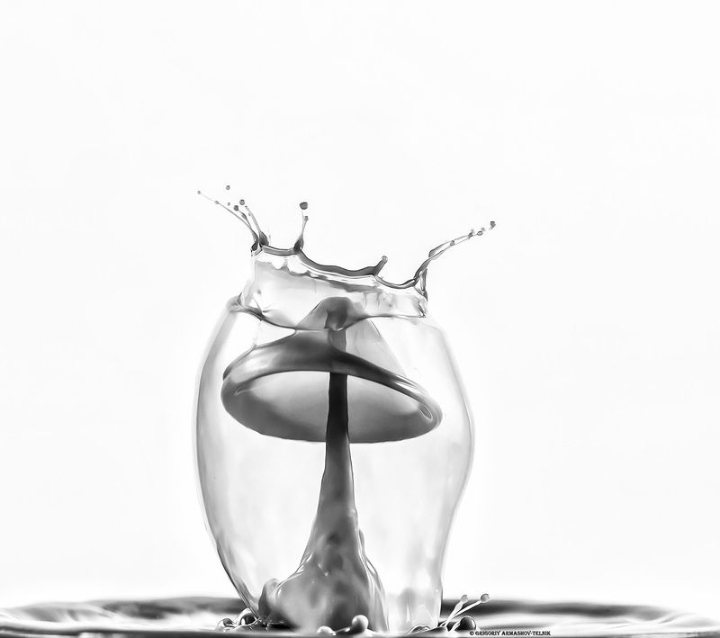 Monochrome drops macro black liquid macrophoto Black drops photo preview