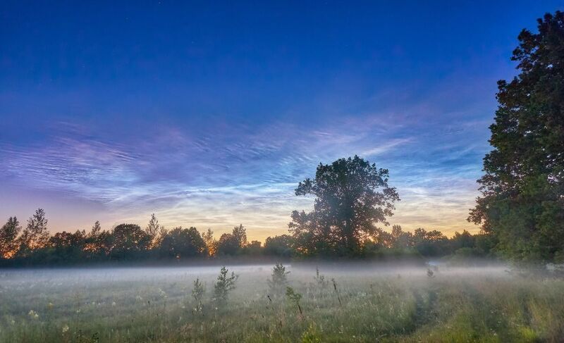 беларусь, вечер, дубрава, июль, лето, ночь, облака, свислочь, туман Ночь серебристых облаковphoto preview