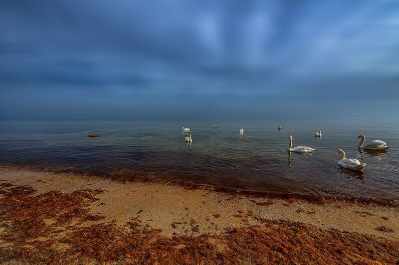 Релаксphoto preview