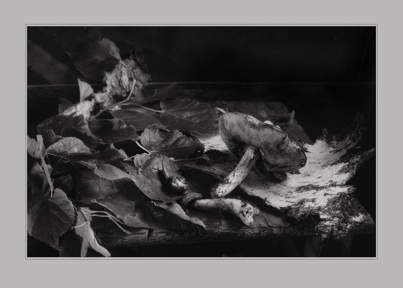 Пойду поищу ложку...photo preview