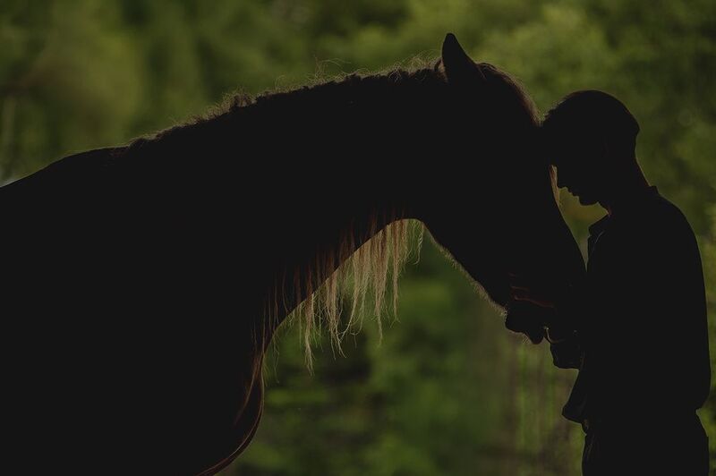 Силуэтphoto preview