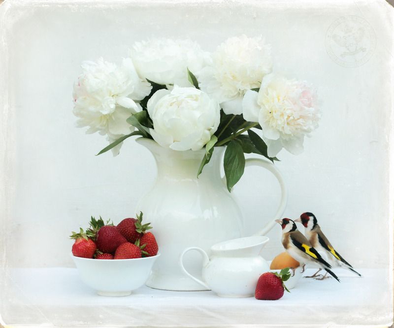 Натюрморт с четой Кардуэлисовphoto preview