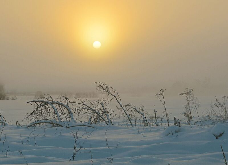 Студеное утроphoto preview