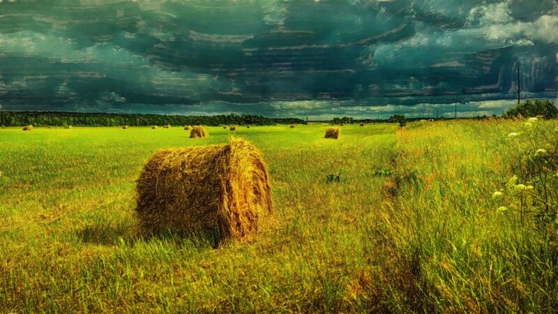 Зауралье фото превью