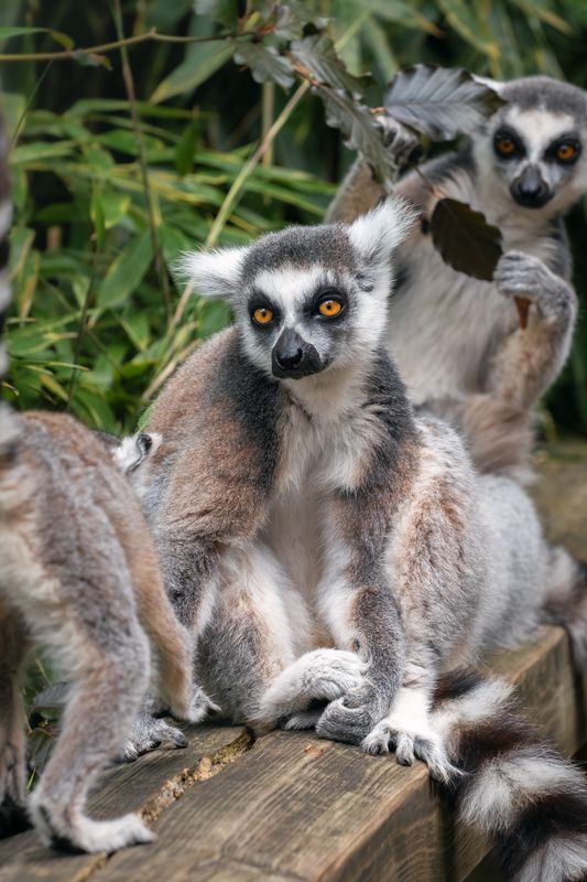 Не грусти, пожалуйста...photo preview