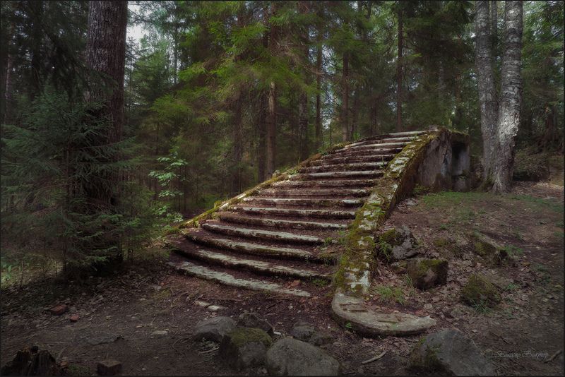 На былой роскоши даже ничего не цветётphoto preview