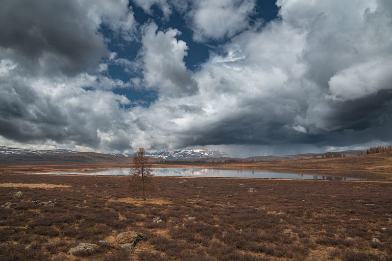 Озеро, Дерево, облака, горы, снежные горы, гроза, Алтай, весна  Горный Алтайphoto preview