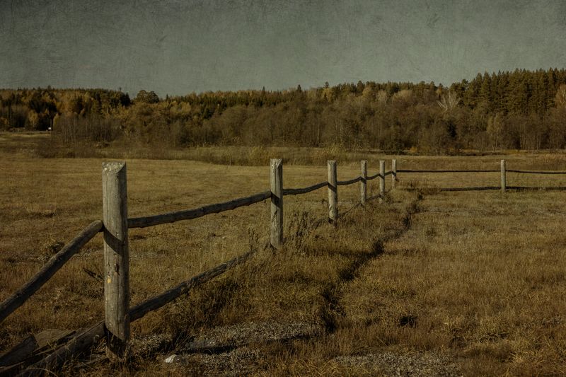 Мир Эндрю Уайетаphoto preview