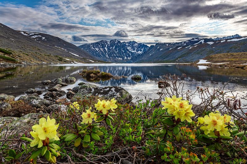 Колымская веснаphoto preview