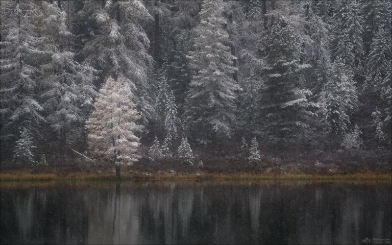 алтай, горный алтай, улаган, улаганское нагорье, улаганский перевал, озеро киделю, фототур на алтай, осенний фототур на алтай, фототуры по россии Тонкая грань..photo preview