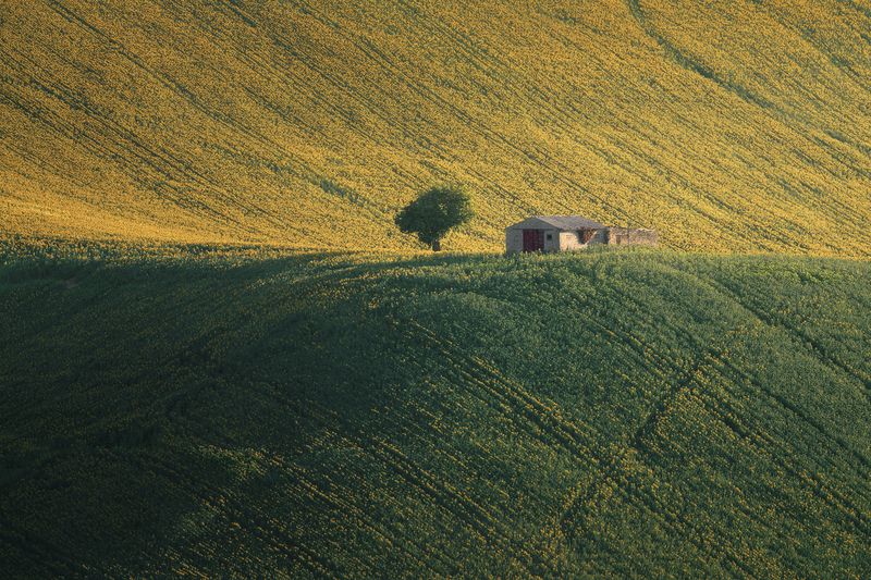 Surrounded By Lightphoto preview