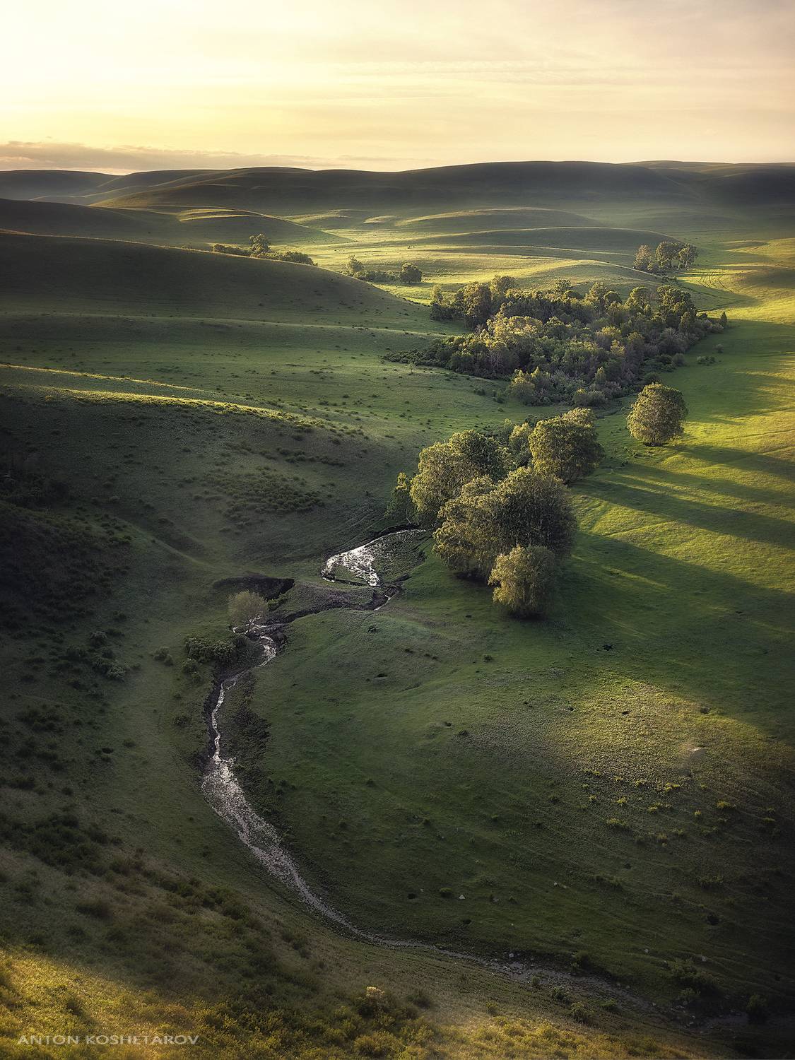 , Антон Кошетаров