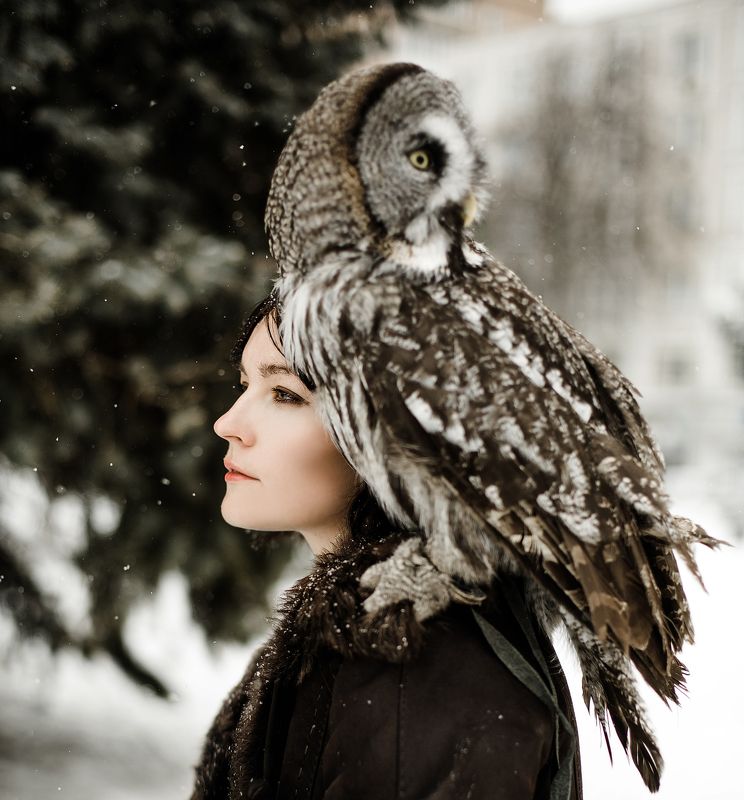 Две сущности одногоphoto preview