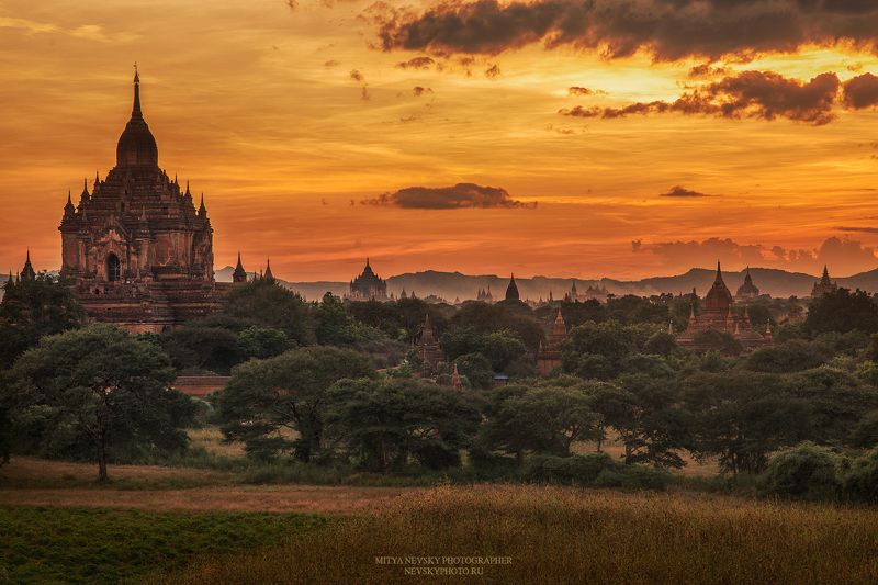 Баганphoto preview