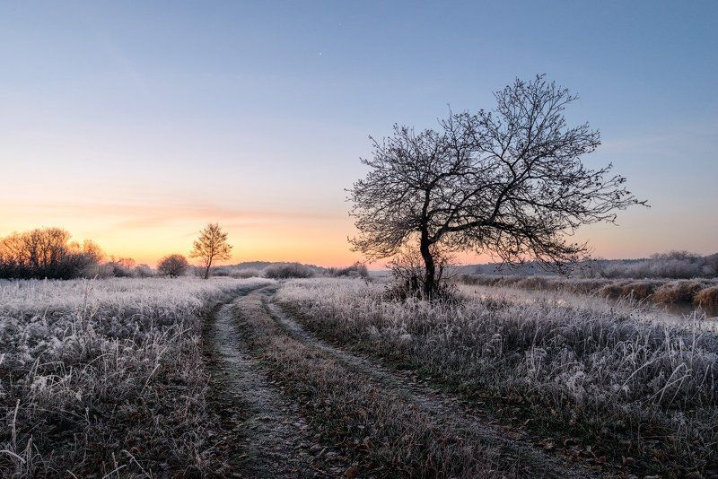 Однажды морозным утром...photo preview