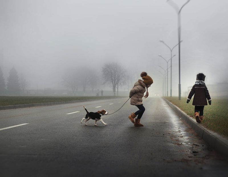 Туманным днем...photo preview