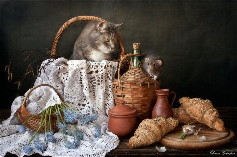 Кошки-мышки, Крыса дамбо, Крысиные истории Крысиные истории. Встречаем веснуphoto preview