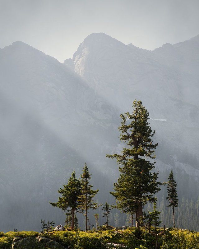 большой, вечер, высокий, голубой, горы, деревья, дымка, ергаки, зеленый, камни, красивый, красноярский край, пейзаж, природа, размер, разрешение, саяны, сибирь, скалы, тайга Ергакиphoto preview