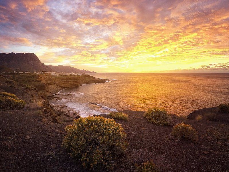 Вечер, Закат, Океан Берег мечты фото превью