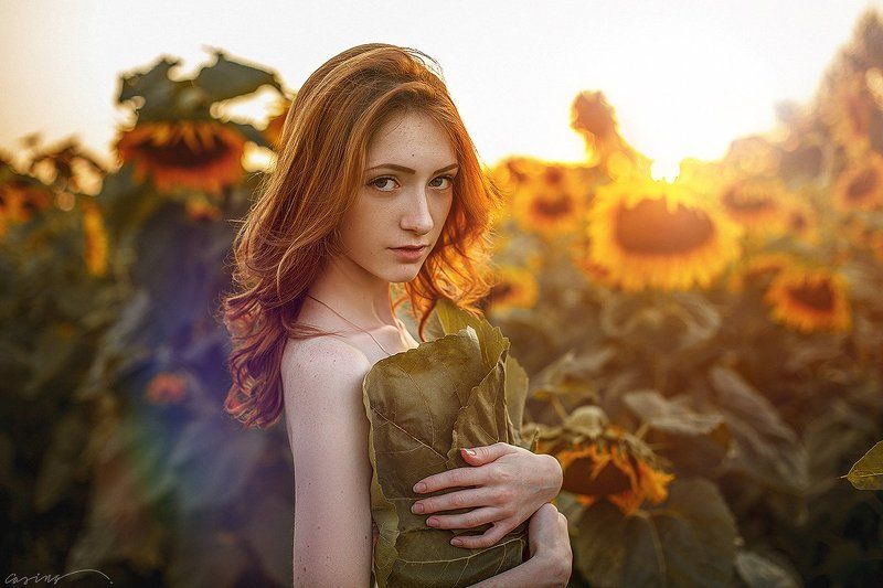 august, summer, sunflowers, beauty, beautiful, girl Augustphoto preview