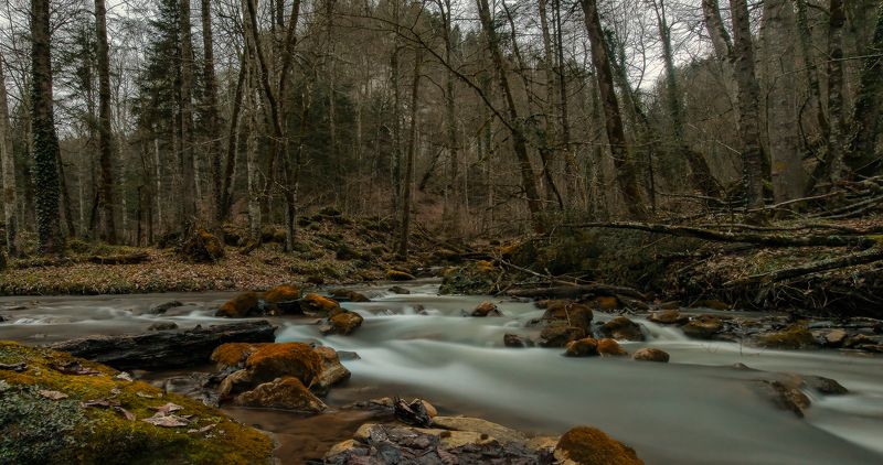 река, вода, март, 2016 У слияния двух рекphoto preview