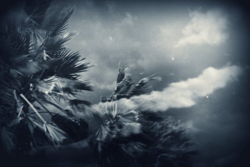 пленка, мультиэкспозиция, средний формат, размышления Штормphoto preview