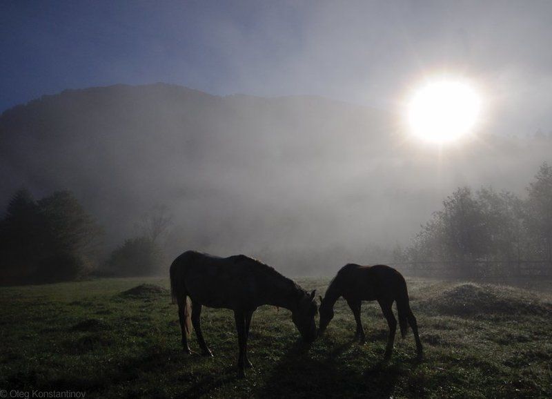 Morning At Umpyrphoto preview