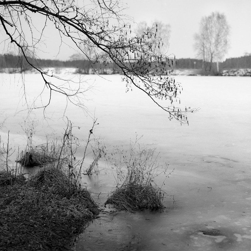 Архангельское., Весна., Река. \
