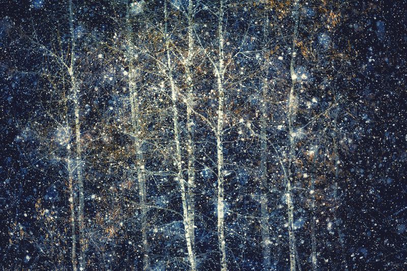 Алтай, Зима, Лес, Природа, Снег Снегопадphoto preview