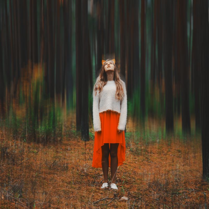 портрет, лес, лиса,  Helis de\'Foxphoto preview