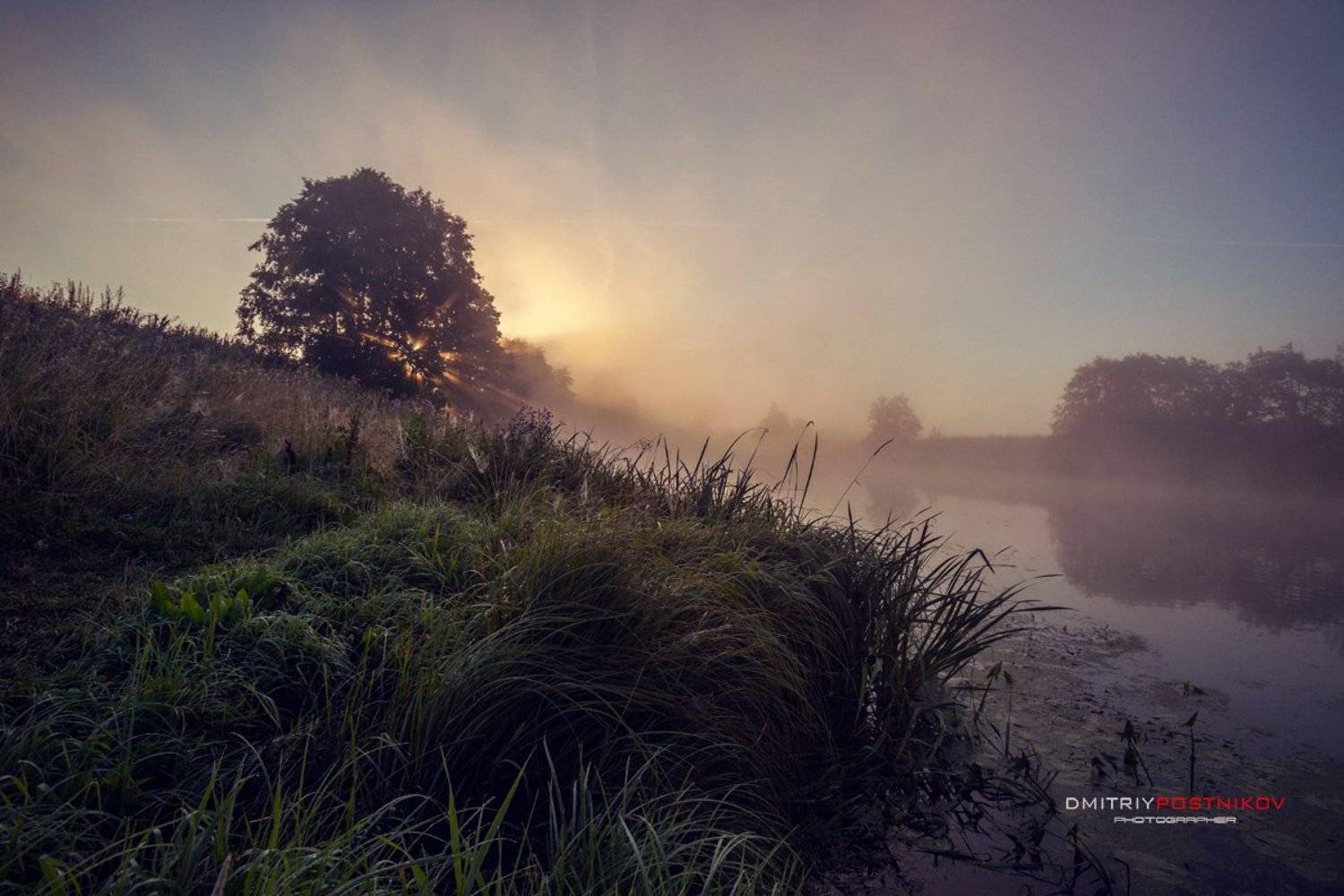 Туманный рассвет на реке Сестра.. Автор: Дмитрий Постников. пейзаж,природа,лето,рассвет,река,, Дмитрий Постников.