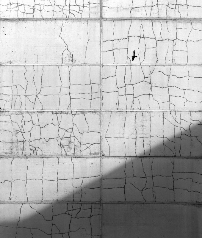 стенаphoto preview