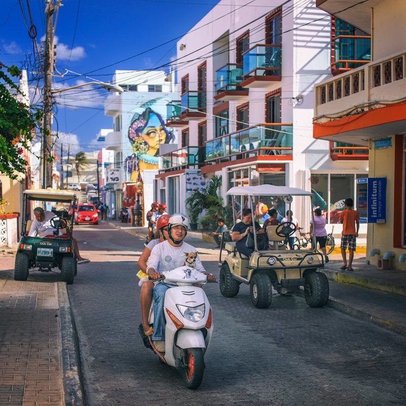 штурман Правильный штурман).photo preview