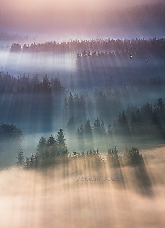 Flight over the raysphoto preview