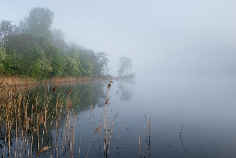 Немного весенней свежести...photo preview