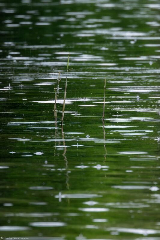 Вода Водаphoto preview