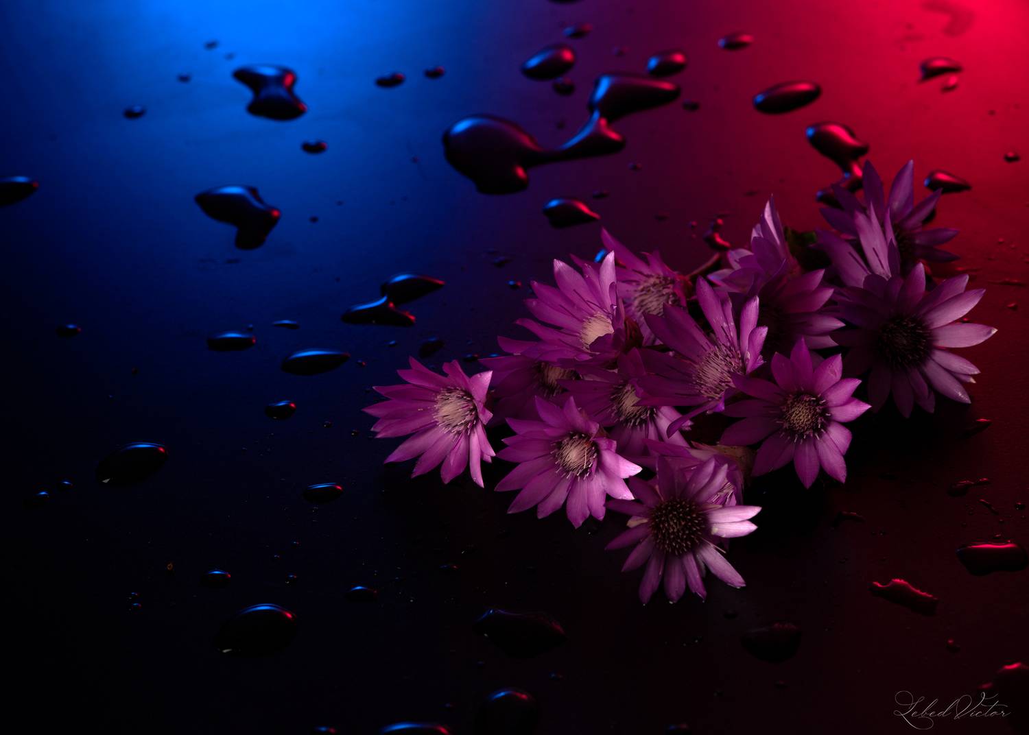 , Виктор Лебедь