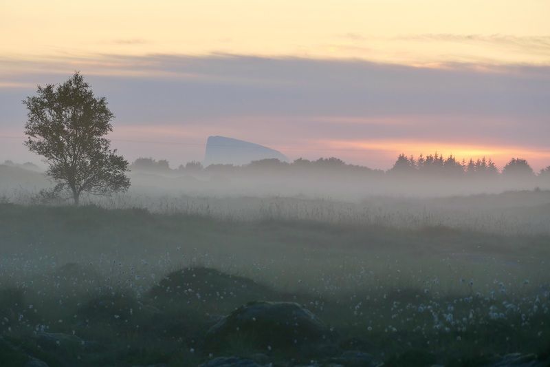 Landscapes, Norway, Sunrise, Mood, Tree, Fog,  Летний рассветphoto preview