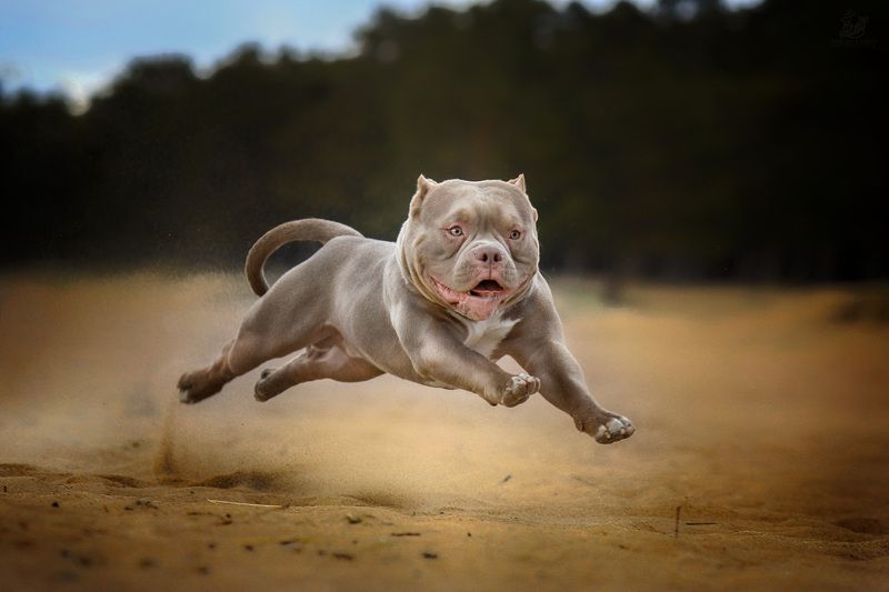 Летное настроениеphoto preview