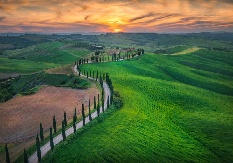 Italy, photography, trip, outdoors, landscape, fog, sunset, tuscany Winding Cypress Treesphoto preview