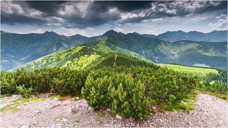 polska, tatry, góry ***photo preview