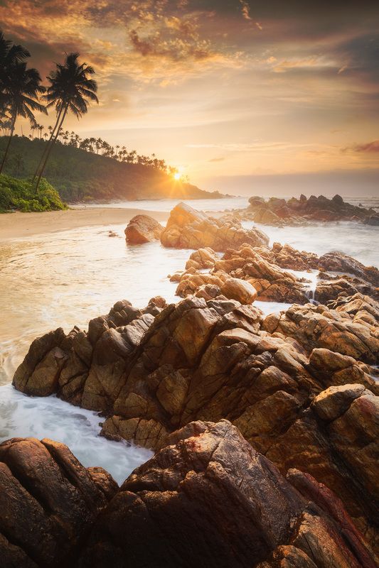 Шри-Ланка, Sri Lamka Шри-Ланкаphoto preview