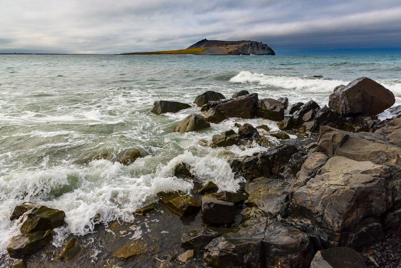 Здесь живут белые медведиphoto preview